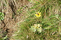 DSC07563 - Bernhard Saalfeld
