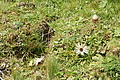 DSC07569 - Bernhard Saalfeld