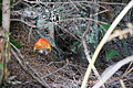DSC07572 - Bernhard Saalfeld