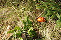 DSC07573 - Bernhard Saalfeld