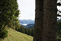 DSC07575 - Bernhard Saalfeld