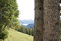 DSC07578 - Bernhard Saalfeld