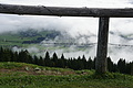 DSC07612 - Bernhard Saalfeld