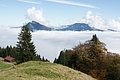 DSC07618 - Bernhard Saalfeld