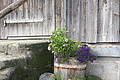 DSC07624 - Bernhard Saalfeld