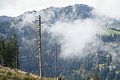 DSC07625 - Bernhard Saalfeld