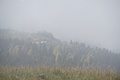 DSC07626 - Bernhard Saalfeld