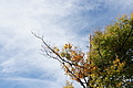 DSC07628 - Bernhard Saalfeld