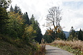 DSC07629 - Bernhard Saalfeld