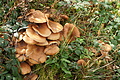 DSC07630 - Bernhard Saalfeld