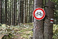 DSC07631 - Bernhard Saalfeld