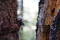 DSC07638 - Bernhard Saalfeld