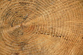 DSC07641 - Bernhard Saalfeld