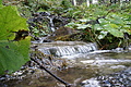 DSC07643 - Bernhard Saalfeld