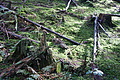 DSC07645 - Bernhard Saalfeld