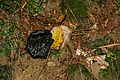 DSC07649 - Bernhard Saalfeld