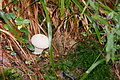 DSC07650 - Bernhard Saalfeld
