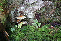 DSC07651 - Bernhard Saalfeld