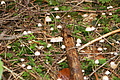 DSC07658 - Bernhard Saalfeld