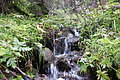 DSC07660 - Bernhard Saalfeld