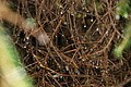 DSC07662 - Bernhard Saalfeld