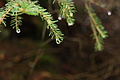 DSC07663 - Bernhard Saalfeld