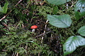 DSC07671 - Bernhard Saalfeld