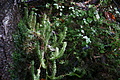 DSC07673 - Bernhard Saalfeld