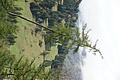 DSC07675 - Bernhard Saalfeld