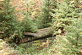 DSC07677 - Bernhard Saalfeld
