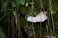 DSC07679 - Bernhard Saalfeld