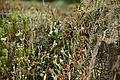 DSC07681 - Bernhard Saalfeld