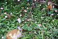 DSC07685 - Bernhard Saalfeld