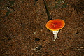 DSC07686 - Bernhard Saalfeld