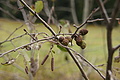 DSC07687 - Bernhard Saalfeld