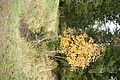 DSC07689 - Bernhard Saalfeld