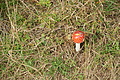 DSC07691 - Bernhard Saalfeld