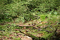 DSC07692 - Bernhard Saalfeld