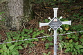 DSC07693 - Bernhard Saalfeld