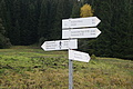 DSC07697 - Bernhard Saalfeld