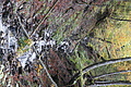 DSC07699 - Bernhard Saalfeld