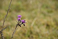DSC07705 - Bernhard Saalfeld