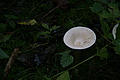 DSC07717 - Bernhard Saalfeld