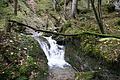 DSC07727 - Bernhard Saalfeld