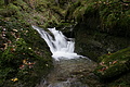 DSC07737 - Bernhard Saalfeld
