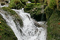 DSC07741 - Bernhard Saalfeld