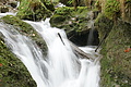 DSC07742 - Bernhard Saalfeld