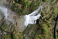 DSC07744 - Bernhard Saalfeld