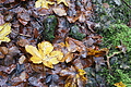 DSC07745 - Bernhard Saalfeld