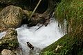 DSC07748 - Bernhard Saalfeld